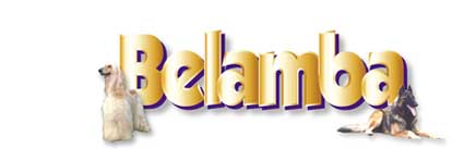Belamba